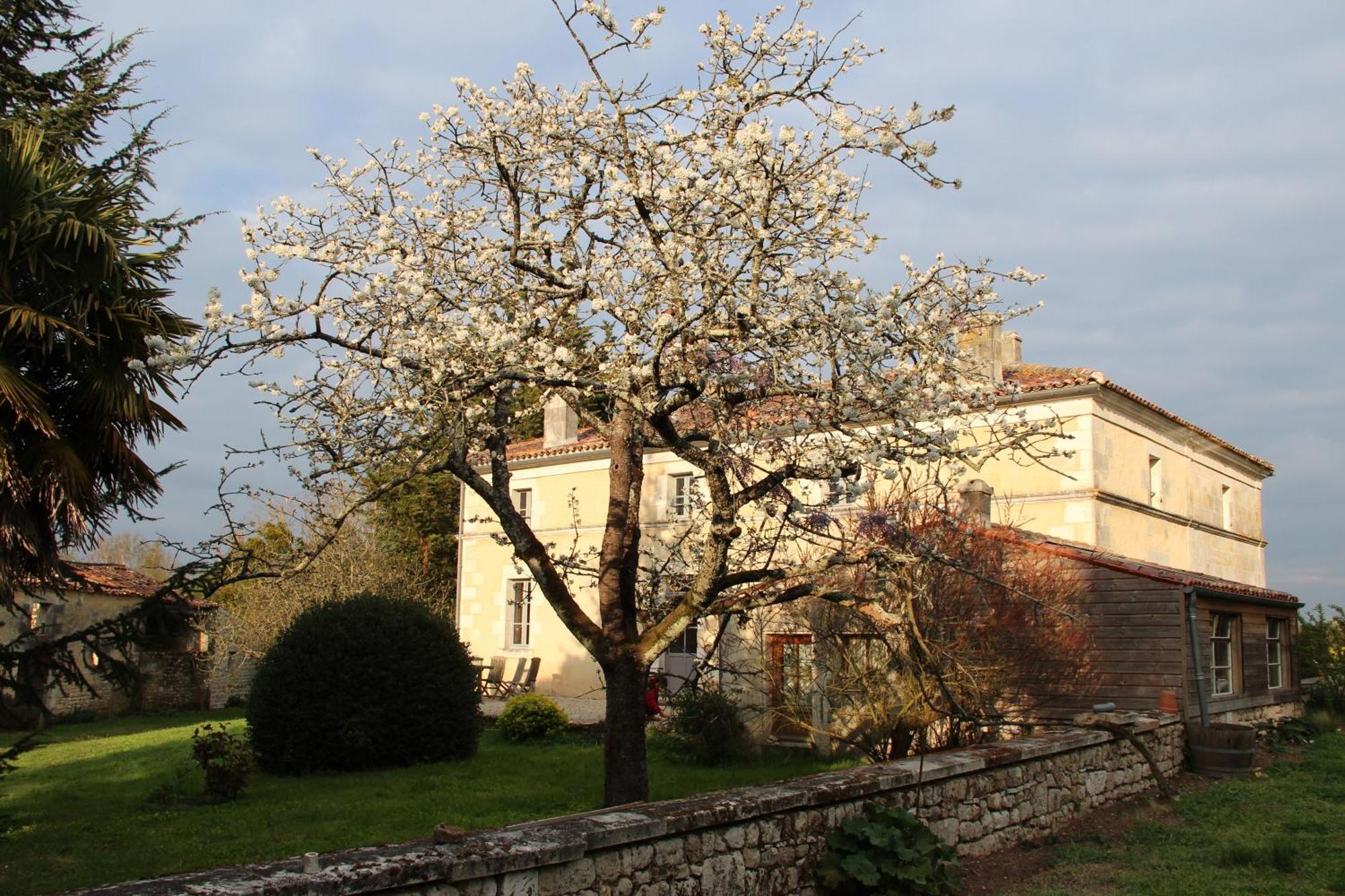 Domaine Terroceane Hotel La-Gripperie-Saint-Symphorien Exterior foto